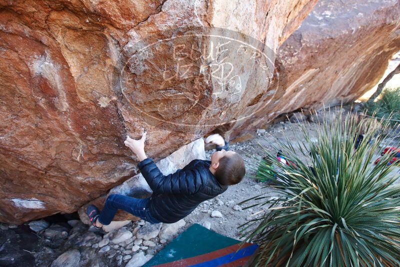 Bouldering in Hueco Tanks on 01/01/2019 with Blue Lizard Climbing and Yoga

Filename: SRM_20190101_1343030.jpg
Aperture: f/4.5
Shutter Speed: 1/250
Body: Canon EOS-1D Mark II
Lens: Canon EF 16-35mm f/2.8 L