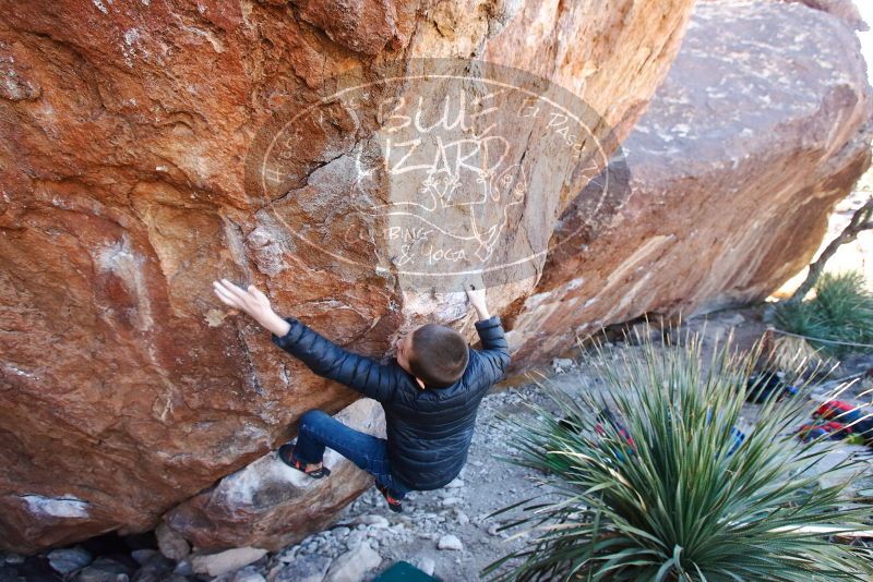 Bouldering in Hueco Tanks on 01/01/2019 with Blue Lizard Climbing and Yoga

Filename: SRM_20190101_1343060.jpg
Aperture: f/4.5
Shutter Speed: 1/250
Body: Canon EOS-1D Mark II
Lens: Canon EF 16-35mm f/2.8 L