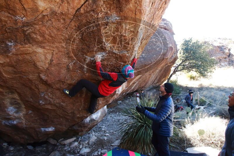 Bouldering in Hueco Tanks on 01/01/2019 with Blue Lizard Climbing and Yoga

Filename: SRM_20190101_1350590.jpg
Aperture: f/5.6
Shutter Speed: 1/250
Body: Canon EOS-1D Mark II
Lens: Canon EF 16-35mm f/2.8 L