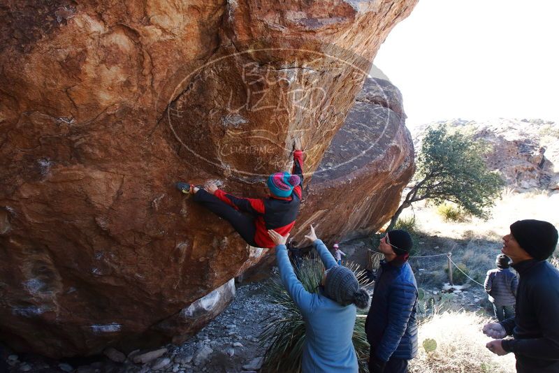 Bouldering in Hueco Tanks on 01/01/2019 with Blue Lizard Climbing and Yoga

Filename: SRM_20190101_1351280.jpg
Aperture: f/7.1
Shutter Speed: 1/250
Body: Canon EOS-1D Mark II
Lens: Canon EF 16-35mm f/2.8 L