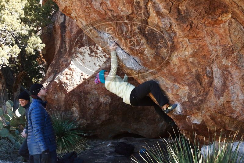 Bouldering in Hueco Tanks on 01/01/2019 with Blue Lizard Climbing and Yoga

Filename: SRM_20190101_1413340.jpg
Aperture: f/6.3
Shutter Speed: 1/250
Body: Canon EOS-1D Mark II
Lens: Canon EF 16-35mm f/2.8 L