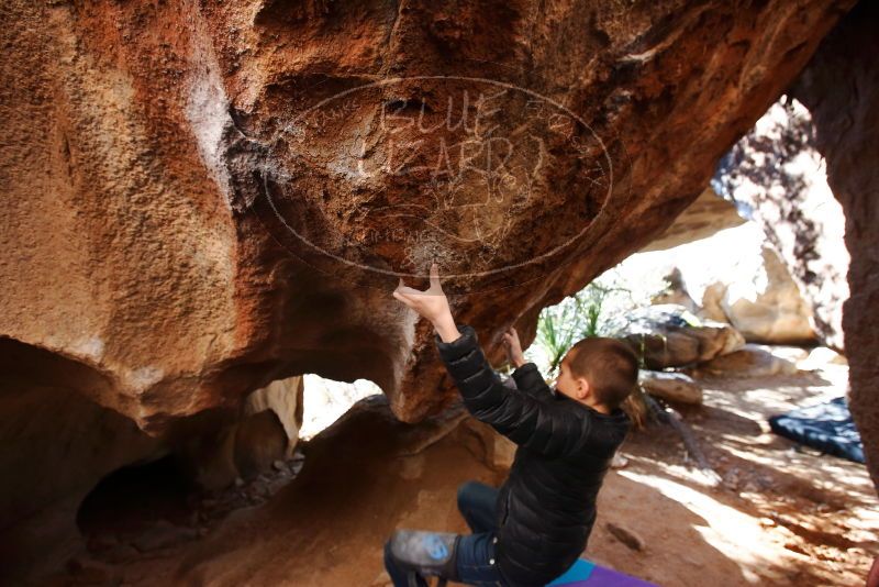 Bouldering in Hueco Tanks on 01/01/2019 with Blue Lizard Climbing and Yoga

Filename: SRM_20190101_1545480.jpg
Aperture: f/4.5
Shutter Speed: 1/200
Body: Canon EOS-1D Mark II
Lens: Canon EF 16-35mm f/2.8 L