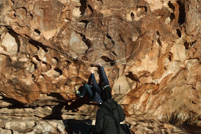 Bouldering in Hueco Tanks on 01/01/2019 with Blue Lizard Climbing and Yoga

Filename: SRM_20190101_1656360.jpg
Aperture: f/4.0
Shutter Speed: 1/800
Body: Canon EOS-1D Mark II
Lens: Canon EF 50mm f/1.8 II