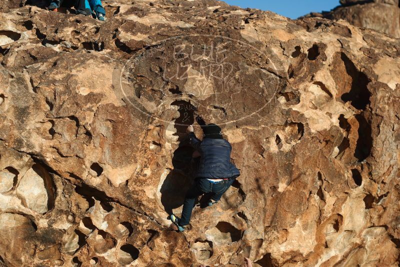 Bouldering in Hueco Tanks on 01/01/2019 with Blue Lizard Climbing and Yoga

Filename: SRM_20190101_1656470.jpg
Aperture: f/4.0
Shutter Speed: 1/640
Body: Canon EOS-1D Mark II
Lens: Canon EF 50mm f/1.8 II