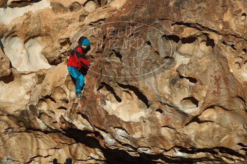 Bouldering in Hueco Tanks on 01/01/2019 with Blue Lizard Climbing and Yoga

Filename: SRM_20190101_1703080.jpg
Aperture: f/4.0
Shutter Speed: 1/1000
Body: Canon EOS-1D Mark II
Lens: Canon EF 50mm f/1.8 II