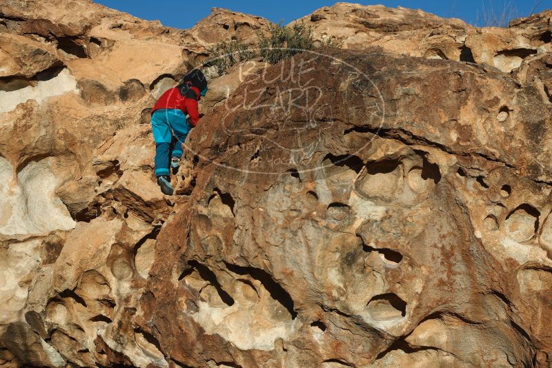 Bouldering in Hueco Tanks on 01/01/2019 with Blue Lizard Climbing and Yoga

Filename: SRM_20190101_1703290.jpg
Aperture: f/4.0
Shutter Speed: 1/800
Body: Canon EOS-1D Mark II
Lens: Canon EF 50mm f/1.8 II