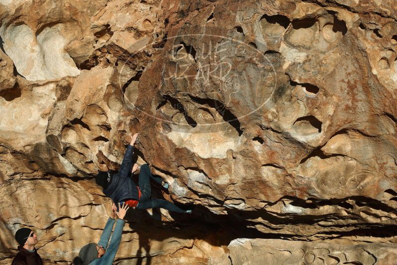 Bouldering in Hueco Tanks on 01/01/2019 with Blue Lizard Climbing and Yoga

Filename: SRM_20190101_1704470.jpg
Aperture: f/4.0
Shutter Speed: 1/800
Body: Canon EOS-1D Mark II
Lens: Canon EF 50mm f/1.8 II