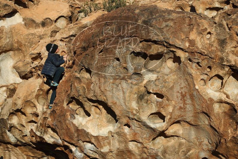 Bouldering in Hueco Tanks on 01/01/2019 with Blue Lizard Climbing and Yoga

Filename: SRM_20190101_1705170.jpg
Aperture: f/4.0
Shutter Speed: 1/800
Body: Canon EOS-1D Mark II
Lens: Canon EF 50mm f/1.8 II