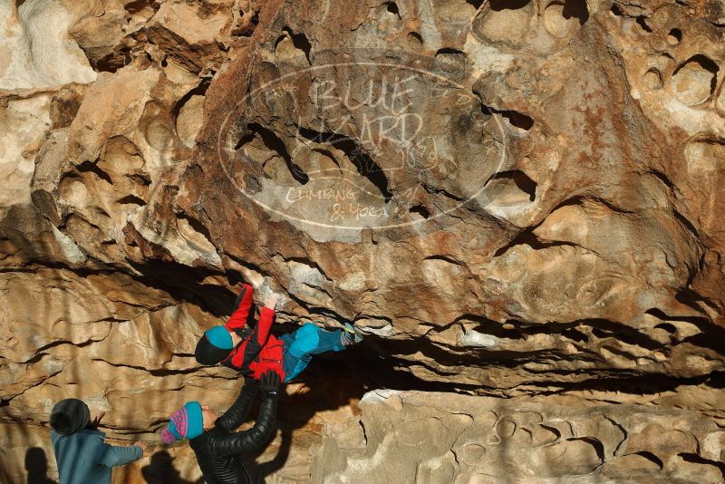 Bouldering in Hueco Tanks on 01/01/2019 with Blue Lizard Climbing and Yoga

Filename: SRM_20190101_1706350.jpg
Aperture: f/4.0
Shutter Speed: 1/800
Body: Canon EOS-1D Mark II
Lens: Canon EF 50mm f/1.8 II