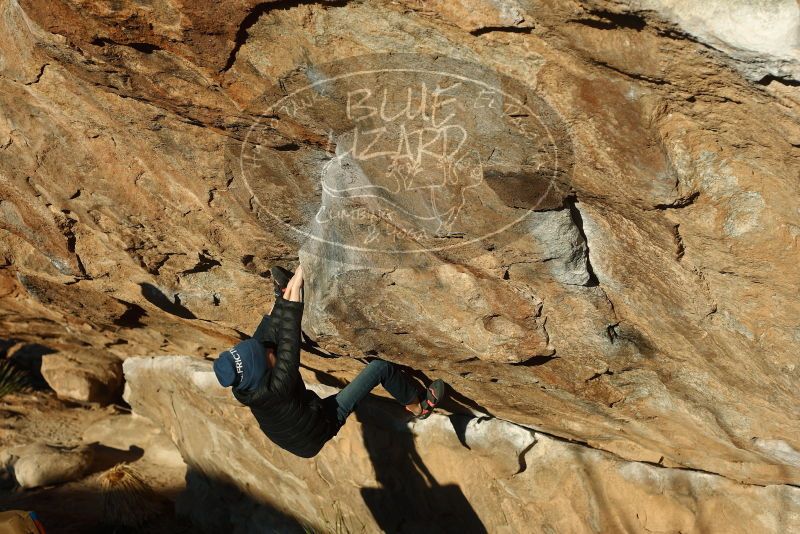 Bouldering in Hueco Tanks on 01/01/2019 with Blue Lizard Climbing and Yoga

Filename: SRM_20190101_1715400.jpg
Aperture: f/4.0
Shutter Speed: 1/800
Body: Canon EOS-1D Mark II
Lens: Canon EF 50mm f/1.8 II