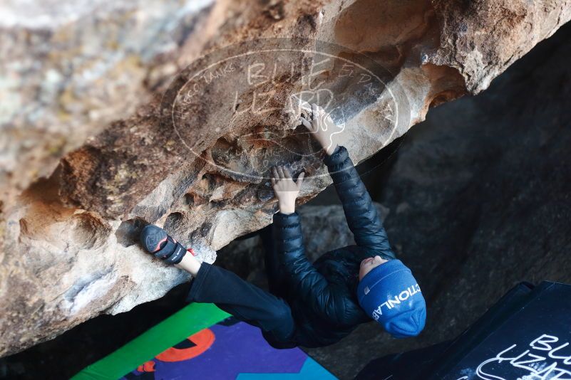 Bouldering in Hueco Tanks on 12/31/2018 with Blue Lizard Climbing and Yoga

Filename: SRM_20181231_1015110.jpg
Aperture: f/2.5
Shutter Speed: 1/250
Body: Canon EOS-1D Mark II
Lens: Canon EF 50mm f/1.8 II