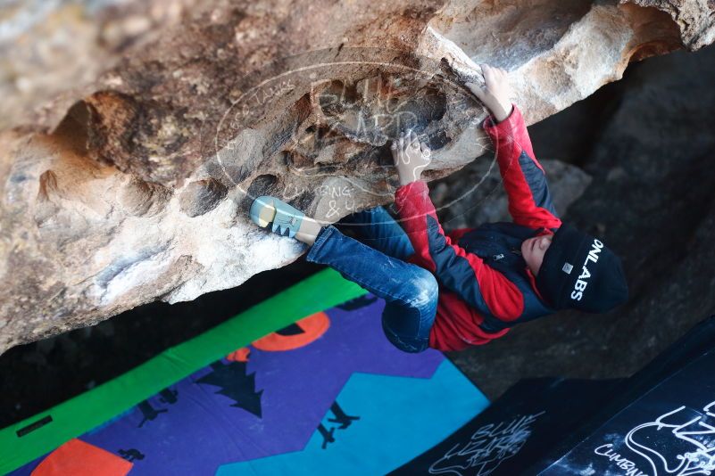 Bouldering in Hueco Tanks on 12/31/2018 with Blue Lizard Climbing and Yoga

Filename: SRM_20181231_1017150.jpg
Aperture: f/2.5
Shutter Speed: 1/250
Body: Canon EOS-1D Mark II
Lens: Canon EF 50mm f/1.8 II