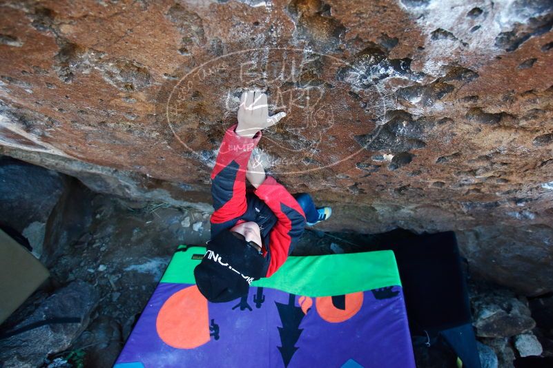 Bouldering in Hueco Tanks on 12/31/2018 with Blue Lizard Climbing and Yoga

Filename: SRM_20181231_1242470.jpg
Aperture: f/4.0
Shutter Speed: 1/250
Body: Canon EOS-1D Mark II
Lens: Canon EF 16-35mm f/2.8 L