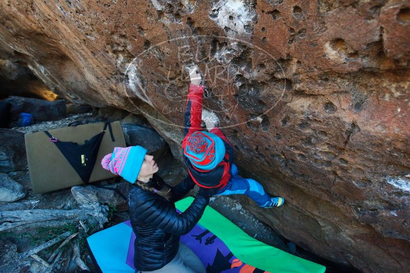 Bouldering in Hueco Tanks on 12/31/2018 with Blue Lizard Climbing and Yoga

Filename: SRM_20181231_1246020.jpg
Aperture: f/3.5
Shutter Speed: 1/400
Body: Canon EOS-1D Mark II
Lens: Canon EF 16-35mm f/2.8 L