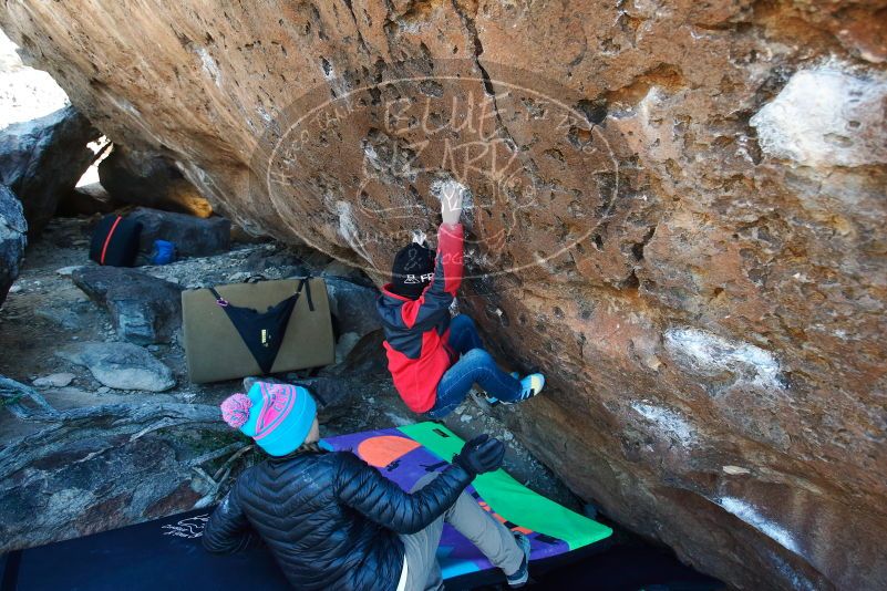 Bouldering in Hueco Tanks on 12/31/2018 with Blue Lizard Climbing and Yoga

Filename: SRM_20181231_1247390.jpg
Aperture: f/4.0
Shutter Speed: 1/400
Body: Canon EOS-1D Mark II
Lens: Canon EF 16-35mm f/2.8 L