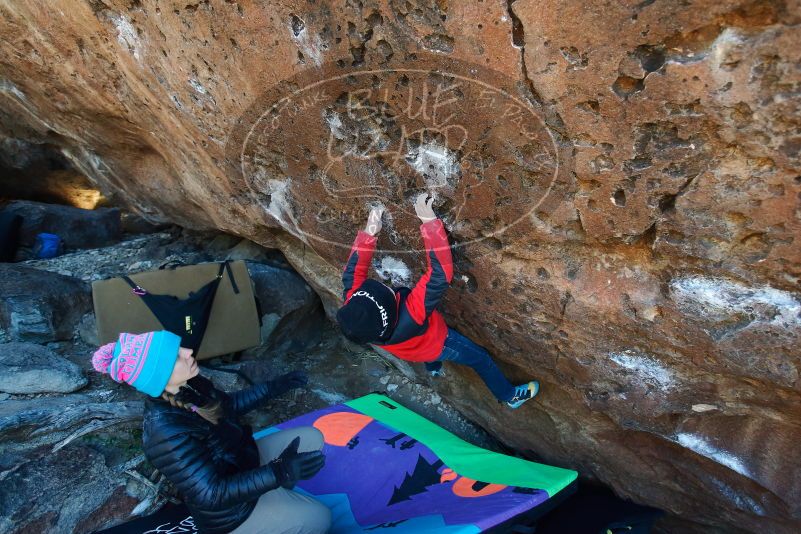 Bouldering in Hueco Tanks on 12/31/2018 with Blue Lizard Climbing and Yoga

Filename: SRM_20181231_1256570.jpg
Aperture: f/3.5
Shutter Speed: 1/250
Body: Canon EOS-1D Mark II
Lens: Canon EF 16-35mm f/2.8 L