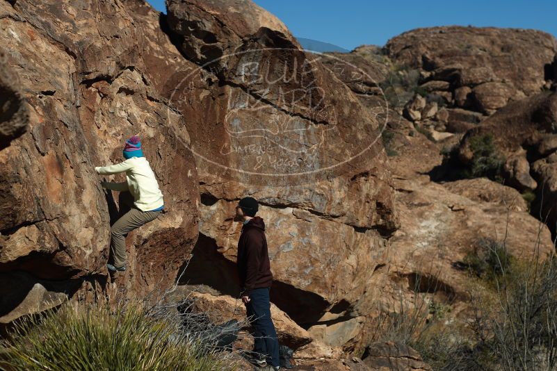 Bouldering in Hueco Tanks on 12/31/2018 with Blue Lizard Climbing and Yoga

Filename: SRM_20181231_1500200.jpg
Aperture: f/4.0
Shutter Speed: 1/1250
Body: Canon EOS-1D Mark II
Lens: Canon EF 50mm f/1.8 II