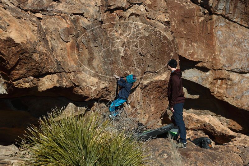 Bouldering in Hueco Tanks on 12/31/2018 with Blue Lizard Climbing and Yoga

Filename: SRM_20181231_1501590.jpg
Aperture: f/4.0
Shutter Speed: 1/1000
Body: Canon EOS-1D Mark II
Lens: Canon EF 50mm f/1.8 II