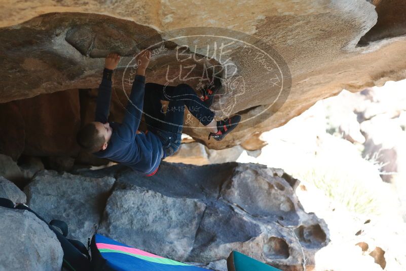 Bouldering in Hueco Tanks on 12/31/2018 with Blue Lizard Climbing and Yoga

Filename: SRM_20181231_1506330.jpg
Aperture: f/3.2
Shutter Speed: 1/500
Body: Canon EOS-1D Mark II
Lens: Canon EF 50mm f/1.8 II