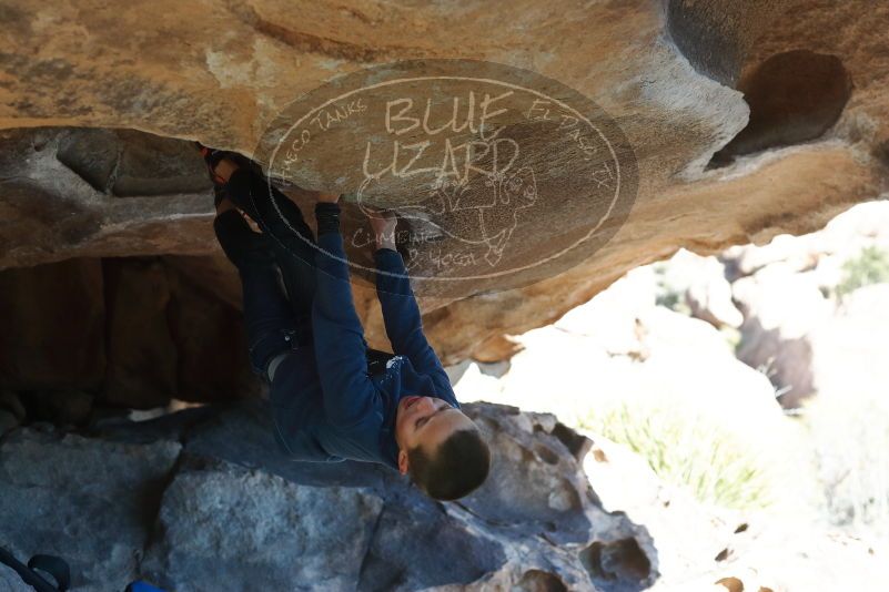 Bouldering in Hueco Tanks on 12/31/2018 with Blue Lizard Climbing and Yoga

Filename: SRM_20181231_1506450.jpg
Aperture: f/3.5
Shutter Speed: 1/500
Body: Canon EOS-1D Mark II
Lens: Canon EF 50mm f/1.8 II