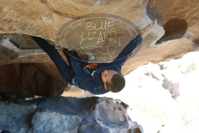 Bouldering in Hueco Tanks on 12/31/2018 with Blue Lizard Climbing and Yoga

Filename: SRM_20181231_1506491.jpg
Aperture: f/3.5
Shutter Speed: 1/400
Body: Canon EOS-1D Mark II
Lens: Canon EF 50mm f/1.8 II