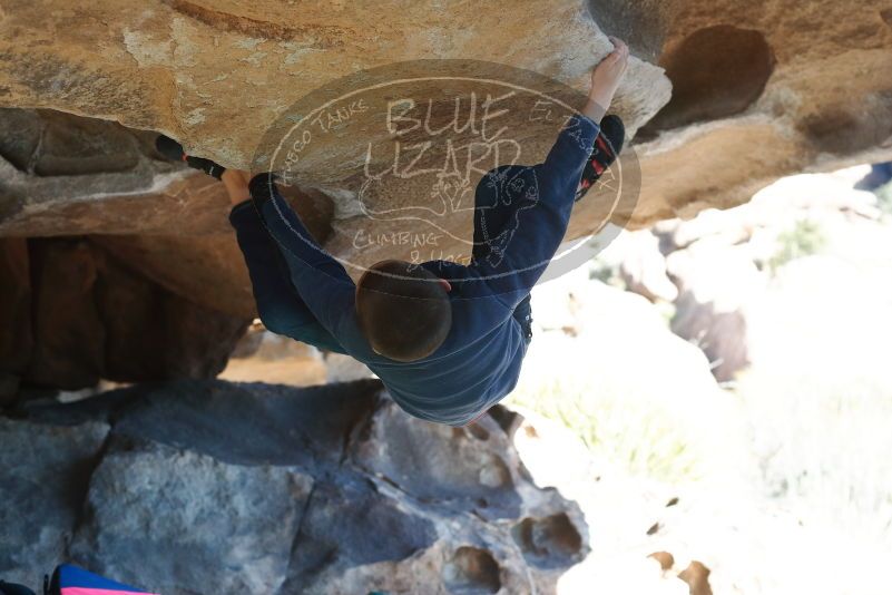 Bouldering in Hueco Tanks on 12/31/2018 with Blue Lizard Climbing and Yoga

Filename: SRM_20181231_1506531.jpg
Aperture: f/4.0
Shutter Speed: 1/320
Body: Canon EOS-1D Mark II
Lens: Canon EF 50mm f/1.8 II