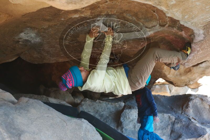 Bouldering in Hueco Tanks on 12/31/2018 with Blue Lizard Climbing and Yoga

Filename: SRM_20181231_1513240.jpg
Aperture: f/4.0
Shutter Speed: 1/320
Body: Canon EOS-1D Mark II
Lens: Canon EF 50mm f/1.8 II