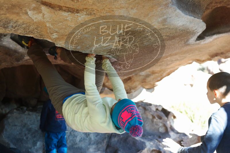 Bouldering in Hueco Tanks on 12/31/2018 with Blue Lizard Climbing and Yoga

Filename: SRM_20181231_1513510.jpg
Aperture: f/4.0
Shutter Speed: 1/320
Body: Canon EOS-1D Mark II
Lens: Canon EF 50mm f/1.8 II