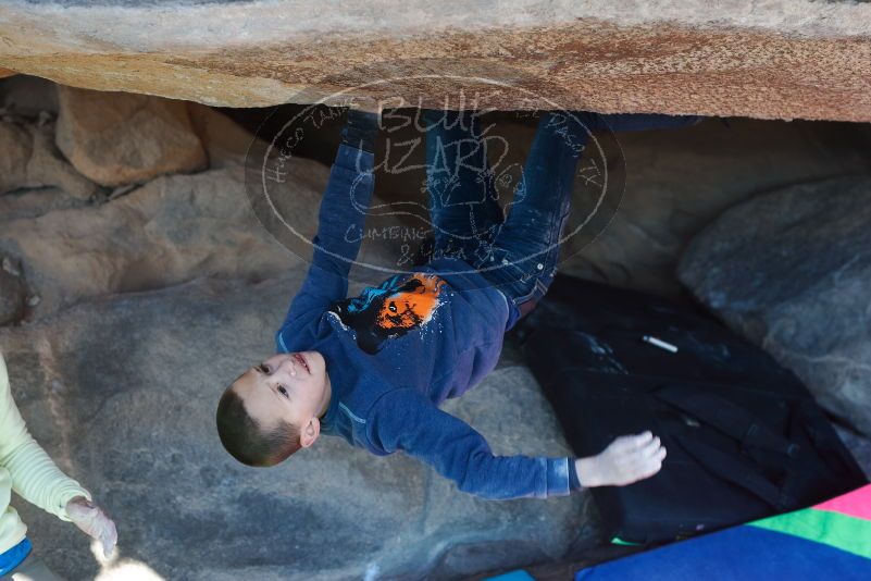 Bouldering in Hueco Tanks on 12/31/2018 with Blue Lizard Climbing and Yoga

Filename: SRM_20181231_1515370.jpg
Aperture: f/4.0
Shutter Speed: 1/250
Body: Canon EOS-1D Mark II
Lens: Canon EF 50mm f/1.8 II