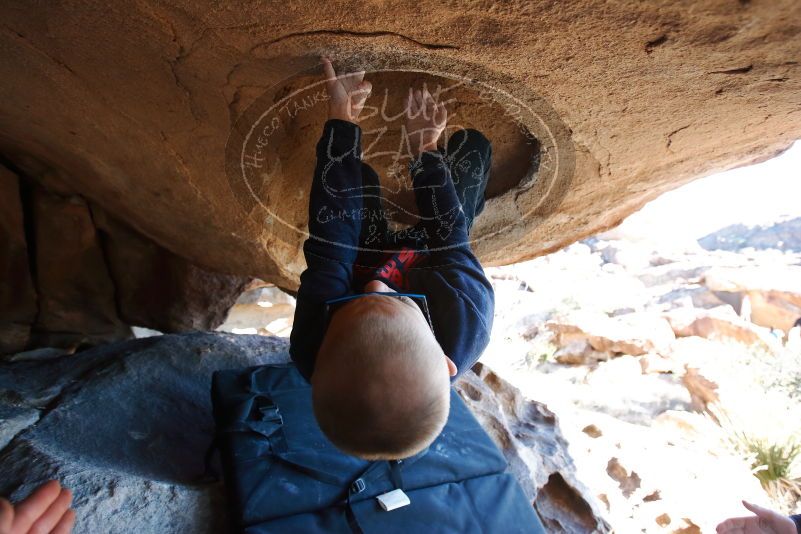 Bouldering in Hueco Tanks on 12/31/2018 with Blue Lizard Climbing and Yoga

Filename: SRM_20181231_1543590.jpg
Aperture: f/4.0
Shutter Speed: 1/250
Body: Canon EOS-1D Mark II
Lens: Canon EF 16-35mm f/2.8 L