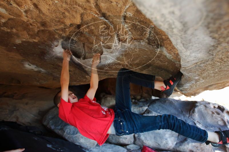 Bouldering in Hueco Tanks on 12/31/2018 with Blue Lizard Climbing and Yoga

Filename: SRM_20181231_1554030.jpg
Aperture: f/3.5
Shutter Speed: 1/250
Body: Canon EOS-1D Mark II
Lens: Canon EF 16-35mm f/2.8 L