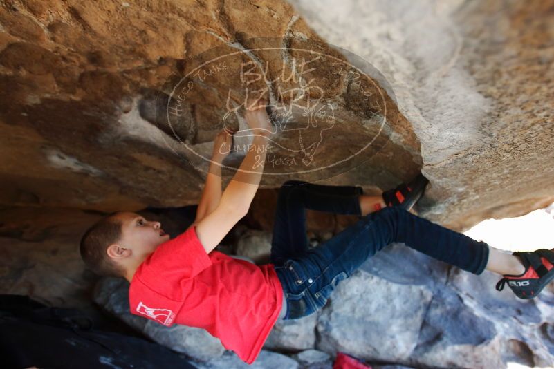 Bouldering in Hueco Tanks on 12/31/2018 with Blue Lizard Climbing and Yoga

Filename: SRM_20181231_1554031.jpg
Aperture: f/3.5
Shutter Speed: 1/250
Body: Canon EOS-1D Mark II
Lens: Canon EF 16-35mm f/2.8 L