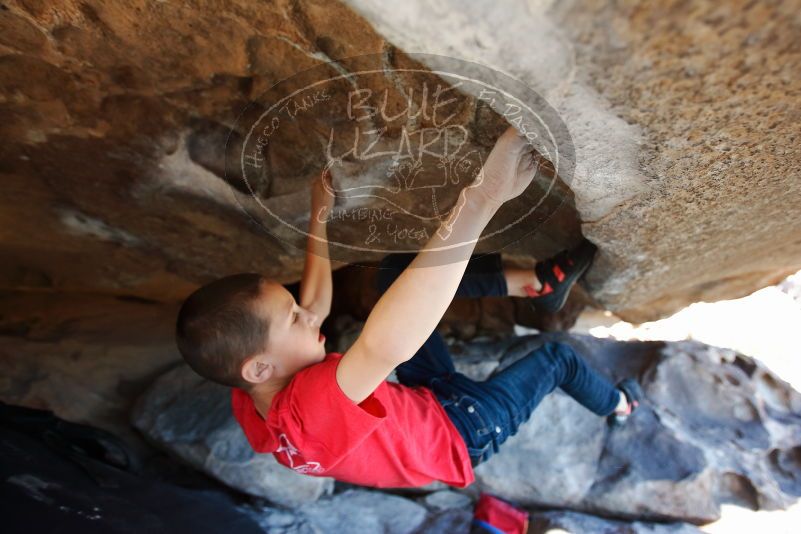 Bouldering in Hueco Tanks on 12/31/2018 with Blue Lizard Climbing and Yoga

Filename: SRM_20181231_1554050.jpg
Aperture: f/3.5
Shutter Speed: 1/250
Body: Canon EOS-1D Mark II
Lens: Canon EF 16-35mm f/2.8 L