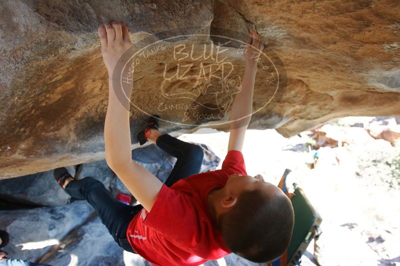 Bouldering in Hueco Tanks on 12/31/2018 with Blue Lizard Climbing and Yoga

Filename: SRM_20181231_1554290.jpg
Aperture: f/5.0
Shutter Speed: 1/250
Body: Canon EOS-1D Mark II
Lens: Canon EF 16-35mm f/2.8 L