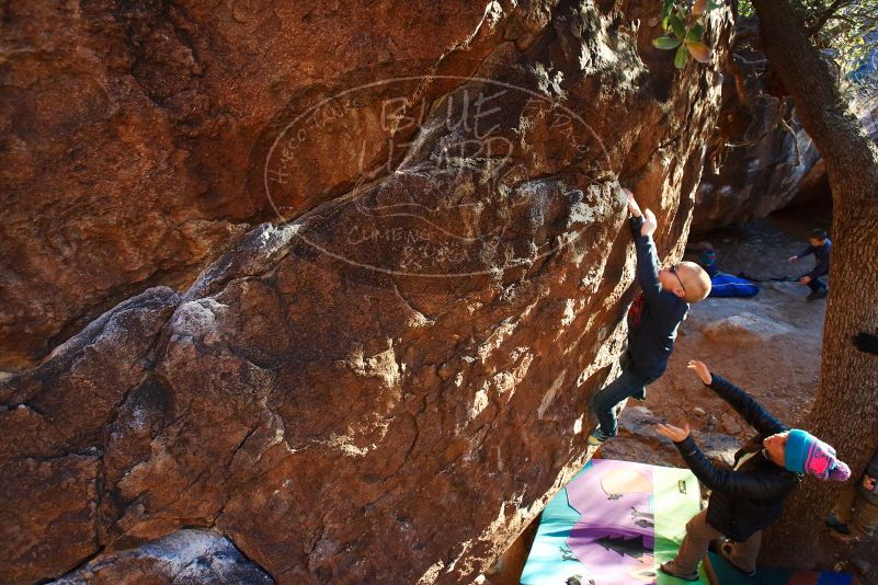 Bouldering in Hueco Tanks on 12/31/2018 with Blue Lizard Climbing and Yoga

Filename: SRM_20181231_1752570.jpg
Aperture: f/5.0
Shutter Speed: 1/160
Body: Canon EOS-1D Mark II
Lens: Canon EF 16-35mm f/2.8 L