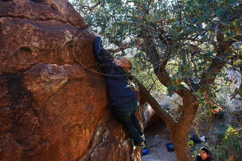 Bouldering in Hueco Tanks on 12/31/2018 with Blue Lizard Climbing and Yoga

Filename: SRM_20181231_1753300.jpg
Aperture: f/5.0
Shutter Speed: 1/160
Body: Canon EOS-1D Mark II
Lens: Canon EF 16-35mm f/2.8 L