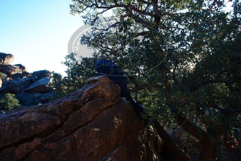 Bouldering in Hueco Tanks on 12/31/2018 with Blue Lizard Climbing and Yoga

Filename: SRM_20181231_1753590.jpg
Aperture: f/9.0
Shutter Speed: 1/160
Body: Canon EOS-1D Mark II
Lens: Canon EF 16-35mm f/2.8 L