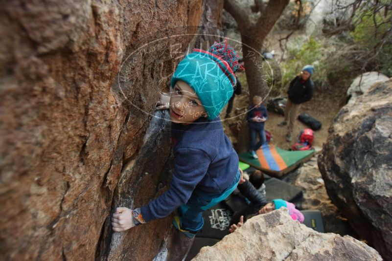 Bouldering in Hueco Tanks on 12/31/2018 with Blue Lizard Climbing and Yoga

Filename: SRM_20181231_1759330.jpg
Aperture: f/2.8
Shutter Speed: 1/125
Body: Canon EOS-1D Mark II
Lens: Canon EF 16-35mm f/2.8 L