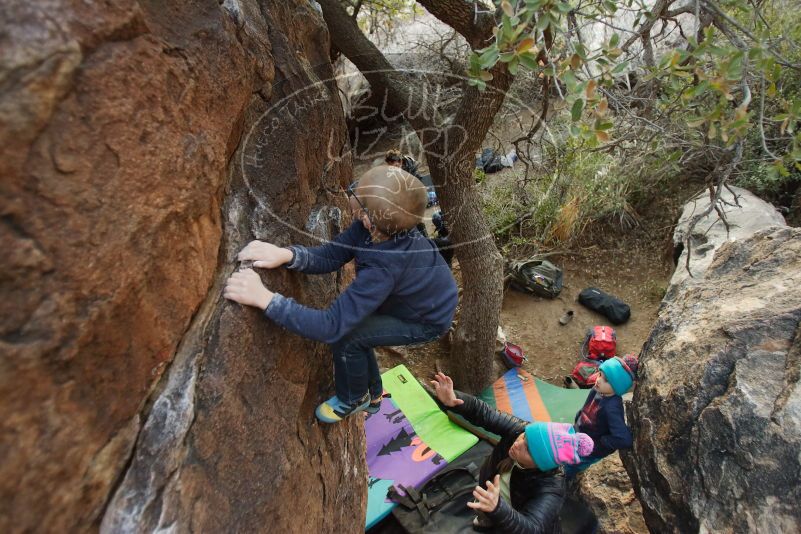 Bouldering in Hueco Tanks on 12/31/2018 with Blue Lizard Climbing and Yoga

Filename: SRM_20181231_1800400.jpg
Aperture: f/2.8
Shutter Speed: 1/100
Body: Canon EOS-1D Mark II
Lens: Canon EF 16-35mm f/2.8 L