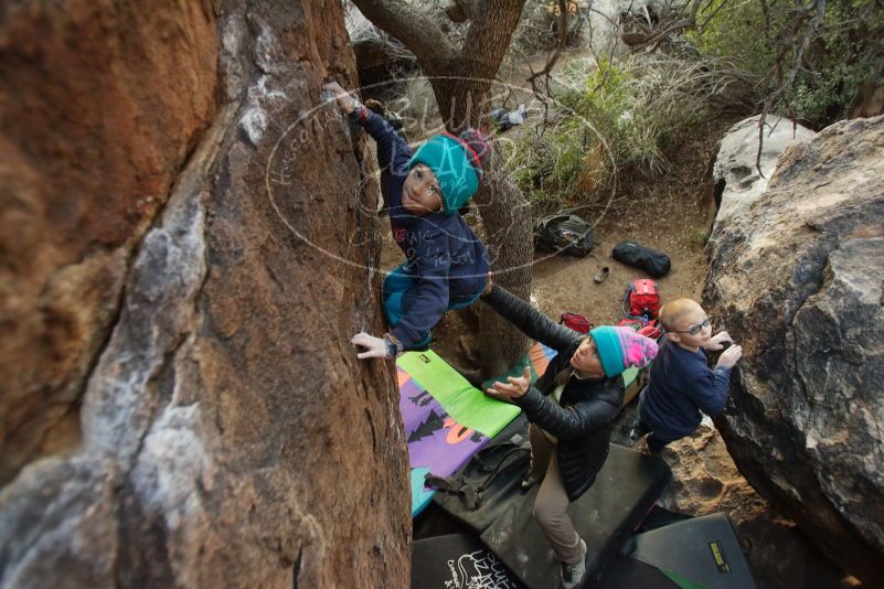 Bouldering in Hueco Tanks on 12/31/2018 with Blue Lizard Climbing and Yoga

Filename: SRM_20181231_1802130.jpg
Aperture: f/2.8
Shutter Speed: 1/100
Body: Canon EOS-1D Mark II
Lens: Canon EF 16-35mm f/2.8 L