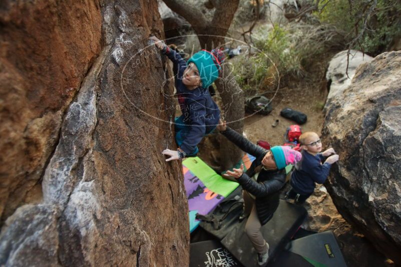 Bouldering in Hueco Tanks on 12/31/2018 with Blue Lizard Climbing and Yoga

Filename: SRM_20181231_1802131.jpg
Aperture: f/2.8
Shutter Speed: 1/100
Body: Canon EOS-1D Mark II
Lens: Canon EF 16-35mm f/2.8 L