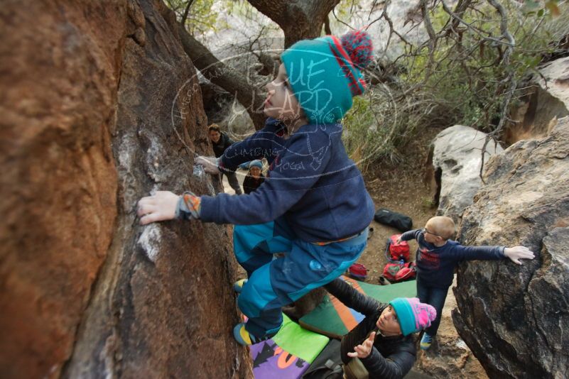 Bouldering in Hueco Tanks on 12/31/2018 with Blue Lizard Climbing and Yoga

Filename: SRM_20181231_1802170.jpg
Aperture: f/2.8
Shutter Speed: 1/100
Body: Canon EOS-1D Mark II
Lens: Canon EF 16-35mm f/2.8 L