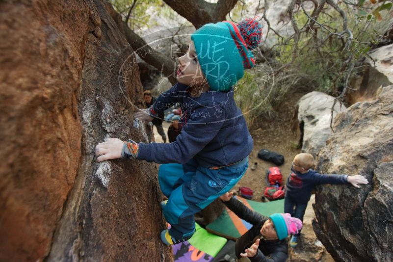 Bouldering in Hueco Tanks on 12/31/2018 with Blue Lizard Climbing and Yoga

Filename: SRM_20181231_1802171.jpg
Aperture: f/2.8
Shutter Speed: 1/100
Body: Canon EOS-1D Mark II
Lens: Canon EF 16-35mm f/2.8 L