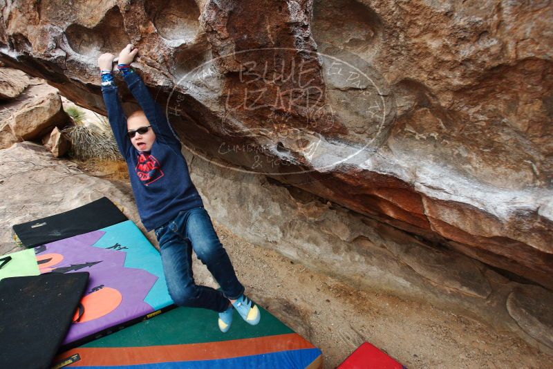 Bouldering in Hueco Tanks on 12/28/2018 with Blue Lizard Climbing and Yoga

Filename: SRM_20181228_1000130.jpg
Aperture: f/5.0
Shutter Speed: 1/200
Body: Canon EOS-1D Mark II
Lens: Canon EF 16-35mm f/2.8 L