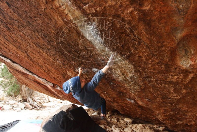 Bouldering in Hueco Tanks on 12/28/2018 with Blue Lizard Climbing and Yoga

Filename: SRM_20181228_1210560.jpg
Aperture: f/4.0
Shutter Speed: 1/200
Body: Canon EOS-1D Mark II
Lens: Canon EF 16-35mm f/2.8 L