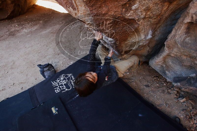 Bouldering in Hueco Tanks on 01/05/2019 with Blue Lizard Climbing and Yoga

Filename: SRM_20190105_1108060.jpg
Aperture: f/3.5
Shutter Speed: 1/250
Body: Canon EOS-1D Mark II
Lens: Canon EF 16-35mm f/2.8 L