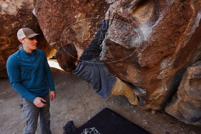 Bouldering in Hueco Tanks on 01/05/2019 with Blue Lizard Climbing and Yoga

Filename: SRM_20190105_1113580.jpg
Aperture: f/4.0
Shutter Speed: 1/250
Body: Canon EOS-1D Mark II
Lens: Canon EF 16-35mm f/2.8 L