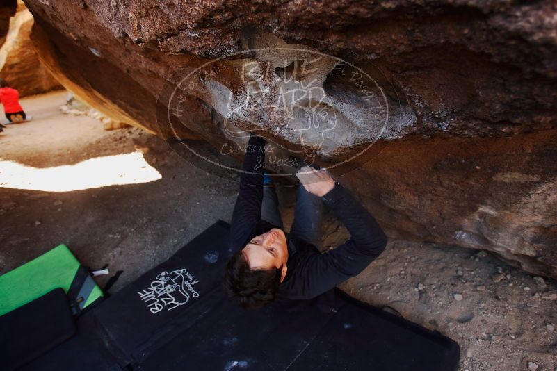 Bouldering in Hueco Tanks on 01/05/2019 with Blue Lizard Climbing and Yoga

Filename: SRM_20190105_1118030.jpg
Aperture: f/3.5
Shutter Speed: 1/250
Body: Canon EOS-1D Mark II
Lens: Canon EF 16-35mm f/2.8 L