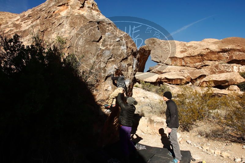 Bouldering in Hueco Tanks on 01/05/2019 with Blue Lizard Climbing and Yoga

Filename: SRM_20190105_1141420.jpg
Aperture: f/7.1
Shutter Speed: 1/800
Body: Canon EOS-1D Mark II
Lens: Canon EF 16-35mm f/2.8 L