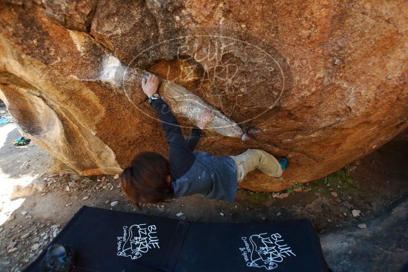 Bouldering in Hueco Tanks on 01/05/2019 with Blue Lizard Climbing and Yoga

Filename: SRM_20190105_1146280.jpg
Aperture: f/2.8
Shutter Speed: 1/250
Body: Canon EOS-1D Mark II
Lens: Canon EF 16-35mm f/2.8 L